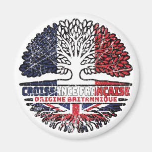 Uk Vereinigtes Königreich Britisch Französisch Fra Magnet