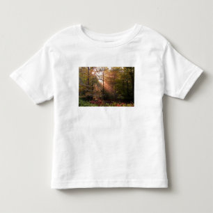 UK. Wald von Dean. Sonnenstrahl durchdringt einen Kleinkind T-shirt