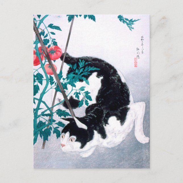 Ukiyoe [komei] 02 Katze mit Tomatensorte Pflanze Postkarte (Vorderseite)