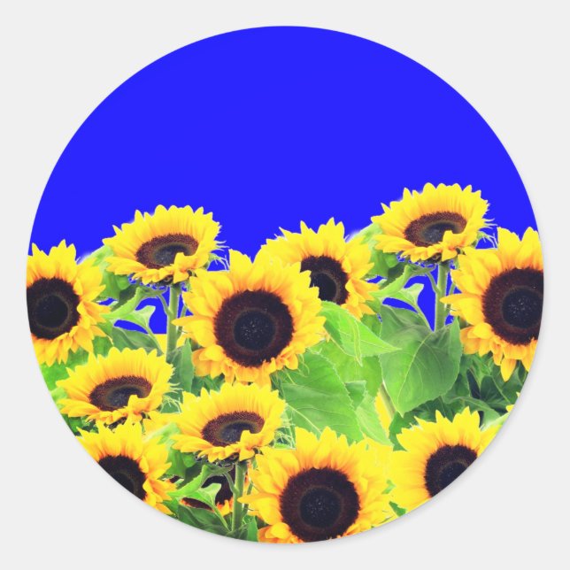 Ukraine Flag Farben Sonnenblumen Aufkleber - Freih (Vorderseite)