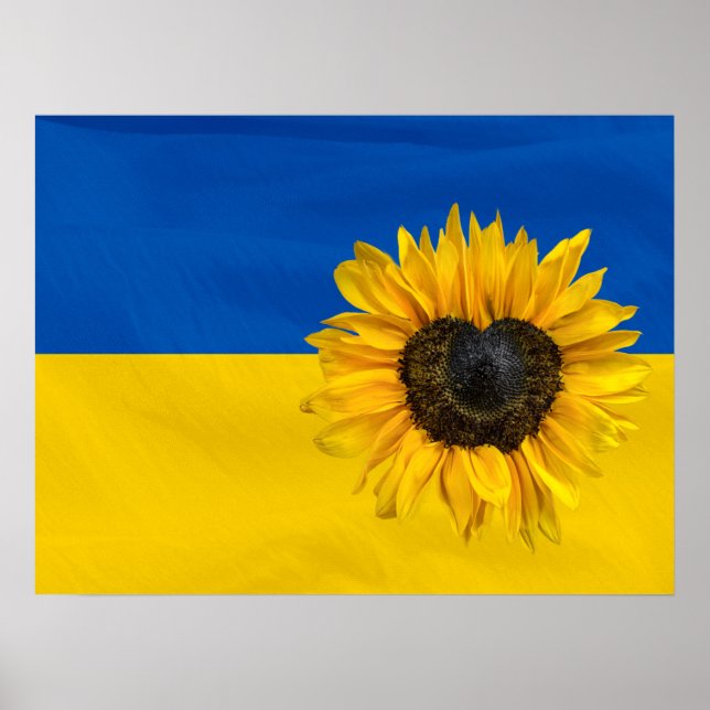 Ukraine-Flagge mit Herzsonnenblume Poster (Vorne)