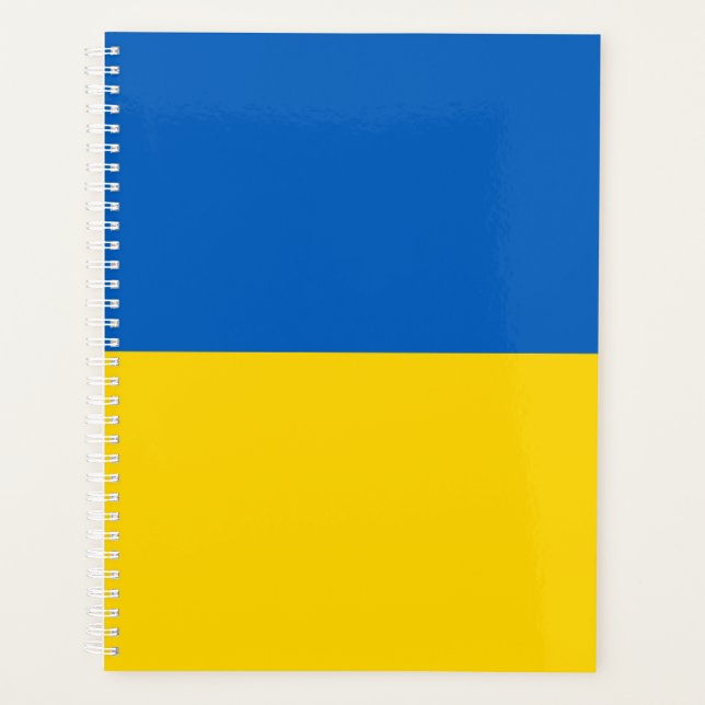 Ukraine-Flagge Planer (Vorderseite)