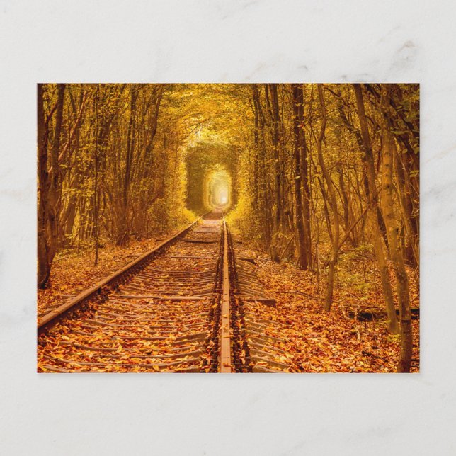 Ukraine Forstbahn Tunnel Liebe Landschaft Po Postkarte (Vorderseite)