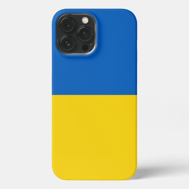 Ukraine iPhone 13 Pro Max Hülle (Rückseite)