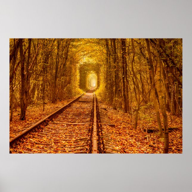 Ukraine Waldbahn-Tunnel Liebe Landschaft Poster (Vorne)