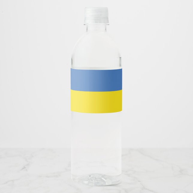 ukrainische Flagge, ukrainische Slawin Ukraini С л (Vorderseite)