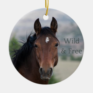 Ula: Pryor Mountain Wild Mustang Keramik Ornament
