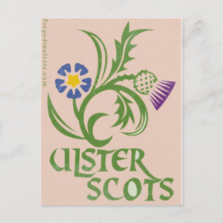 Ulster-Schotte Flachs- & Dicksteindesign. Postkarte