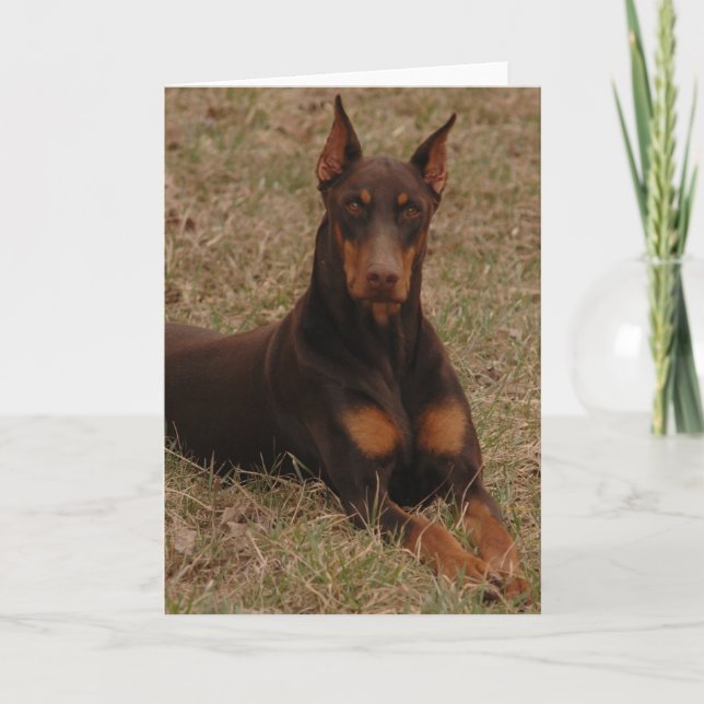 Ultimate Guard Hund Karte (Vorderseite)