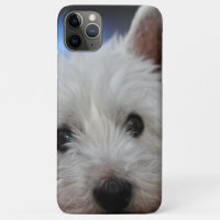 Ultra Niedliche Pestie Westie White Terrier