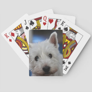 Ultra Niedlicher Schädlingswestie-Weiße Terrier Spielkarten