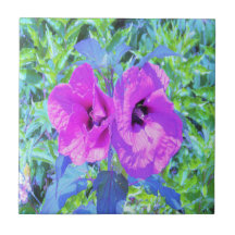 Ultra-Violet Plum Crazy Lila Hibiskus Blume