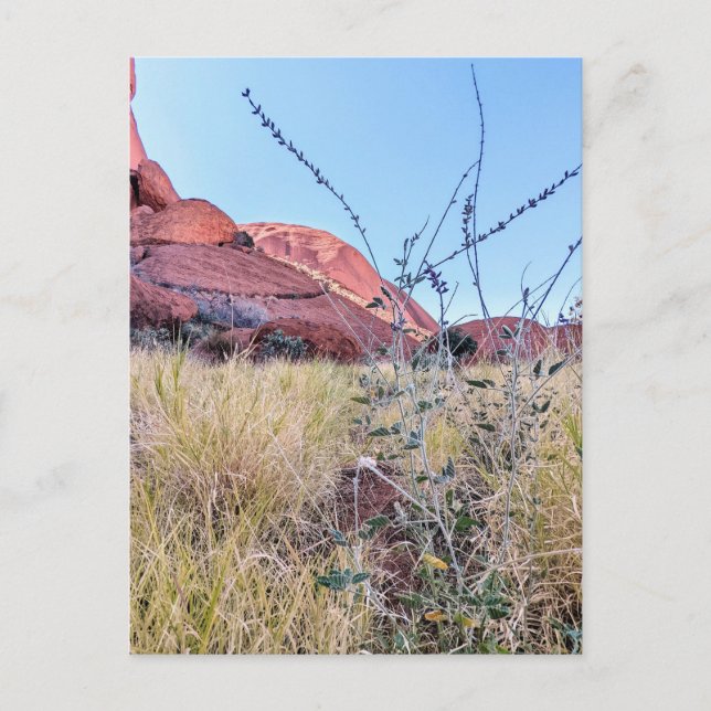 Uluru Nördliches Gebiet Postkarte (Vorderseite)