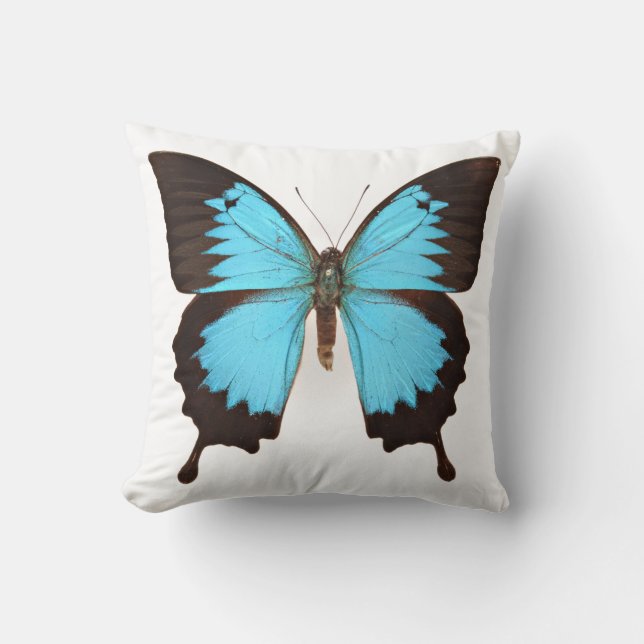 Ulysses Butterfly Kissen (Vorderseite)
