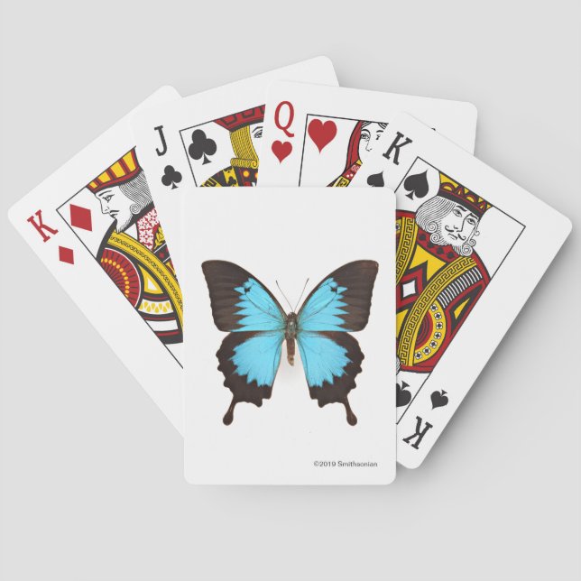 Ulysses-Schmetterling Spielkarten (Rückseite)