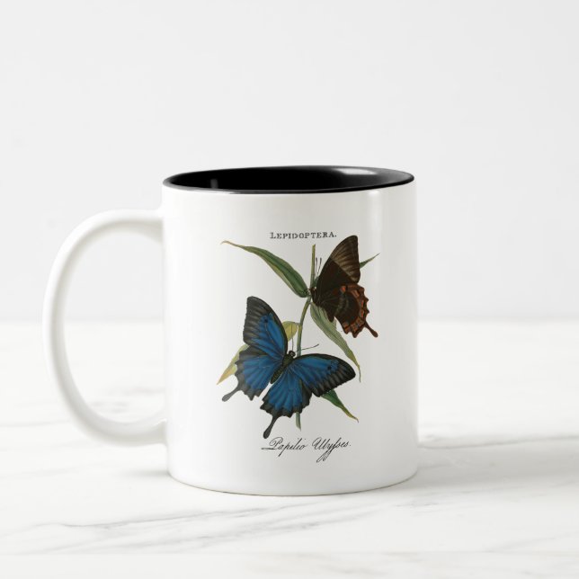 Ulysseschmetterling Zweifarbige Tasse (Links)