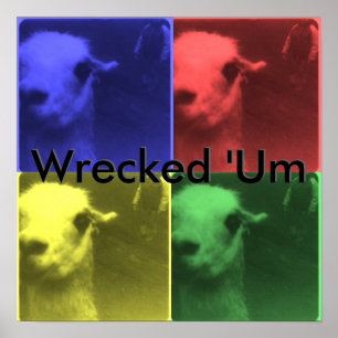 'Um affiche détruite de lama de 4 couleurs