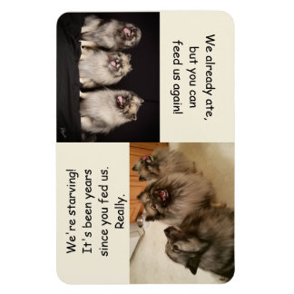 Um Füttern oder nicht Füttern, ist das Fragezeiche Magnet