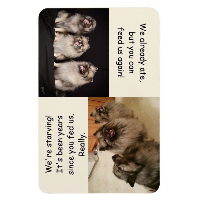 Um Füttern oder nicht Füttern, ist das Fragezeiche Magnet (Vertikal)