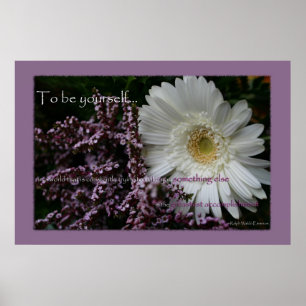 Um zu sein sich weiße Gerberagänseblümchen-Blume Poster