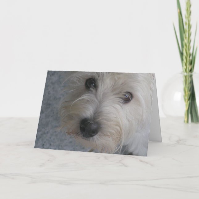 Umarmen Sie mich - Karte (Vorderseite)