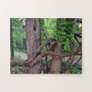 Umarmung eines Naturschutzpuzzles