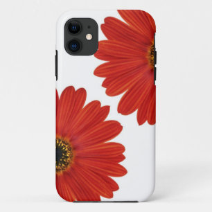Umarmungs-Glück-Gänseblümchen Case-Mate iPhone Hülle