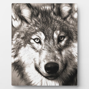 Umbwerfendes Wolf-Gesicht-Foto Druck Accessoires T Fotoplatte