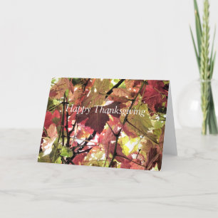 UMGEBUNGSSTEUERN FEIERTAGSKARTE