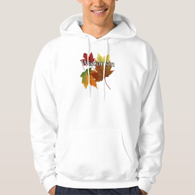UMGEBUNGSSTEUERN IN WISCONSIN HOODIE (Vorderseite)
