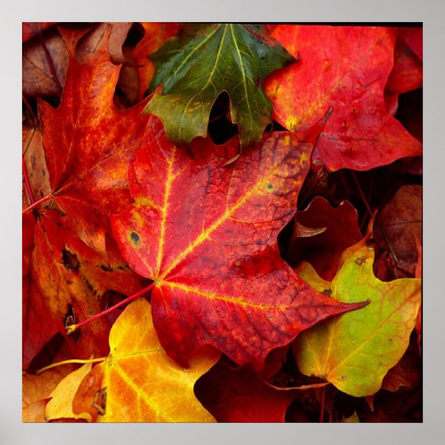 UMGEBUNGSSTEUERN POSTER (Vorne)