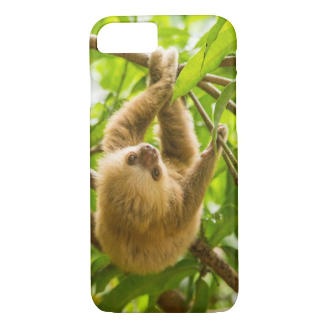 Umgedrehte Trägheit Getty Bild-| Case-Mate iPhone Hülle (Rückseite)