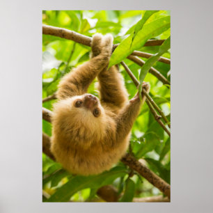 Umgedrehte Trägheit Getty Bild-  Poster