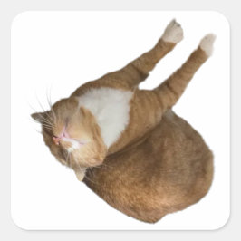 Umgedrehtes-Sonnenschein-Katze Quadratischer Aufkleber