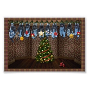 Umhängen von Weihnachts-Foto-Prints Fotodruck
