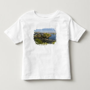 Umkehrung fällt auf den St. John River bei St. 2 Kleinkind T-shirt