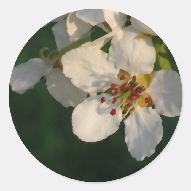 Umschlag Aufkleber (Vorderseite)