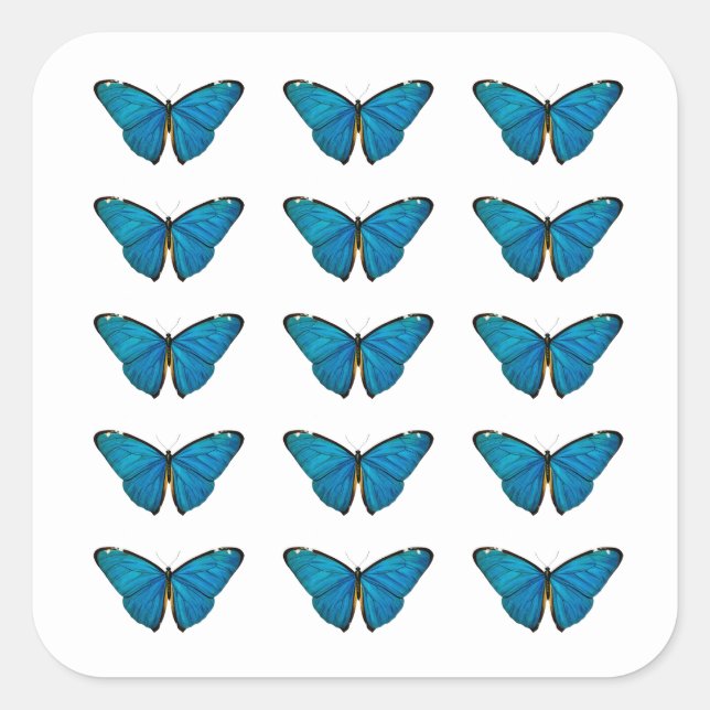UMSCHLAG AUFKLEBER STICKER : BLAUE SCHALTFLÄCHE (Vorderseite)