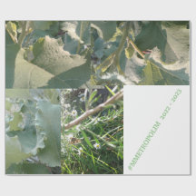 Umschlagpapier/MMETROPOLIMdesign