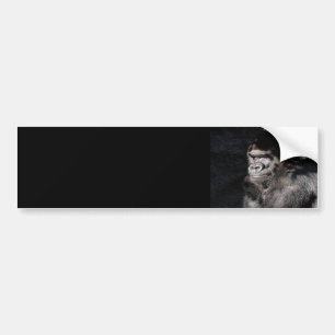 Umsichtiger Gorilla Autoaufkleber