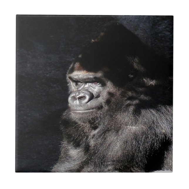 Umsichtiger Gorilla Fliese (Vorderseite)