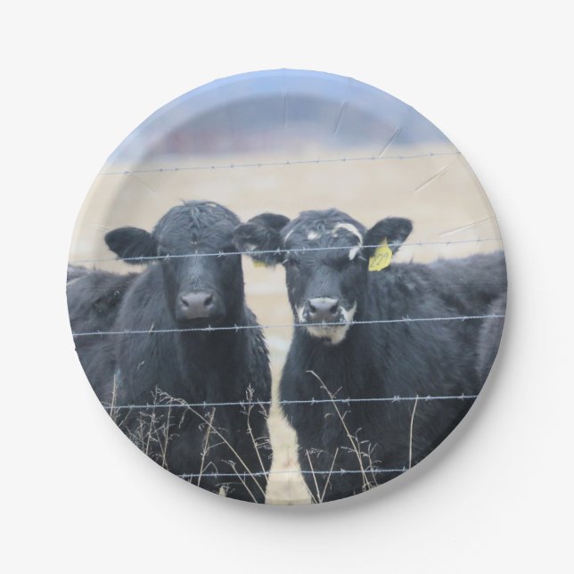 Umstehende Pappteller (Vorderseite)