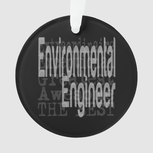 Umweltingenieur Ornament (Vorderseite)