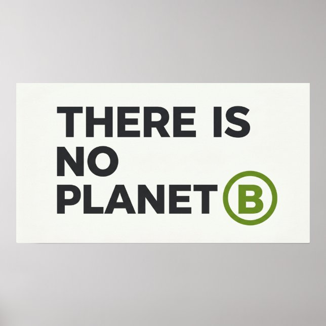 Umweltschützer ohne Planet B  Poster (Vorne)