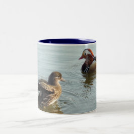 Umwerbende Mandarinenenten Zweifarbige Tasse