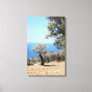 Umwickelte Leinwand Mallorca