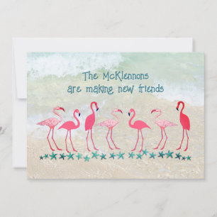 Umzug in die Tropen Flamingo Freunde Neue Adresse Karte