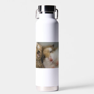 Umzug über den Bob Trinkflasche