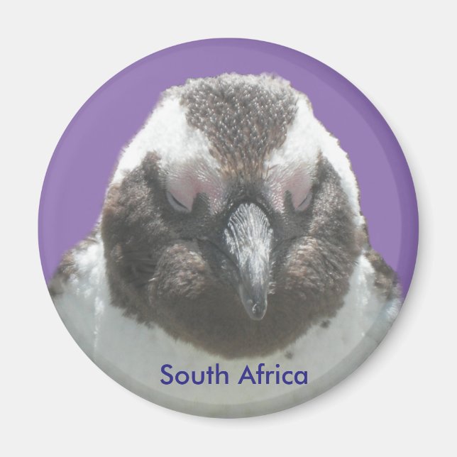 Un aimant personnalisable pour pingouin sud-africa (Devant)