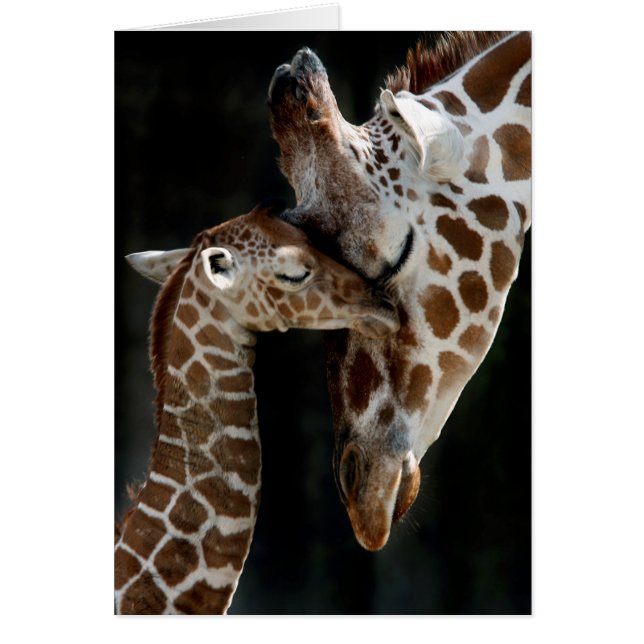 Un amour de mère (Devant)